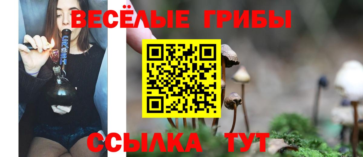 Галлюциногенные грибы Psilocybine cubensis Карталы